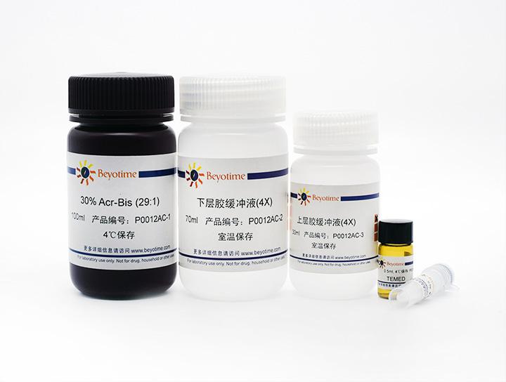 SDS-PAGE凝胶快速配制试剂盒